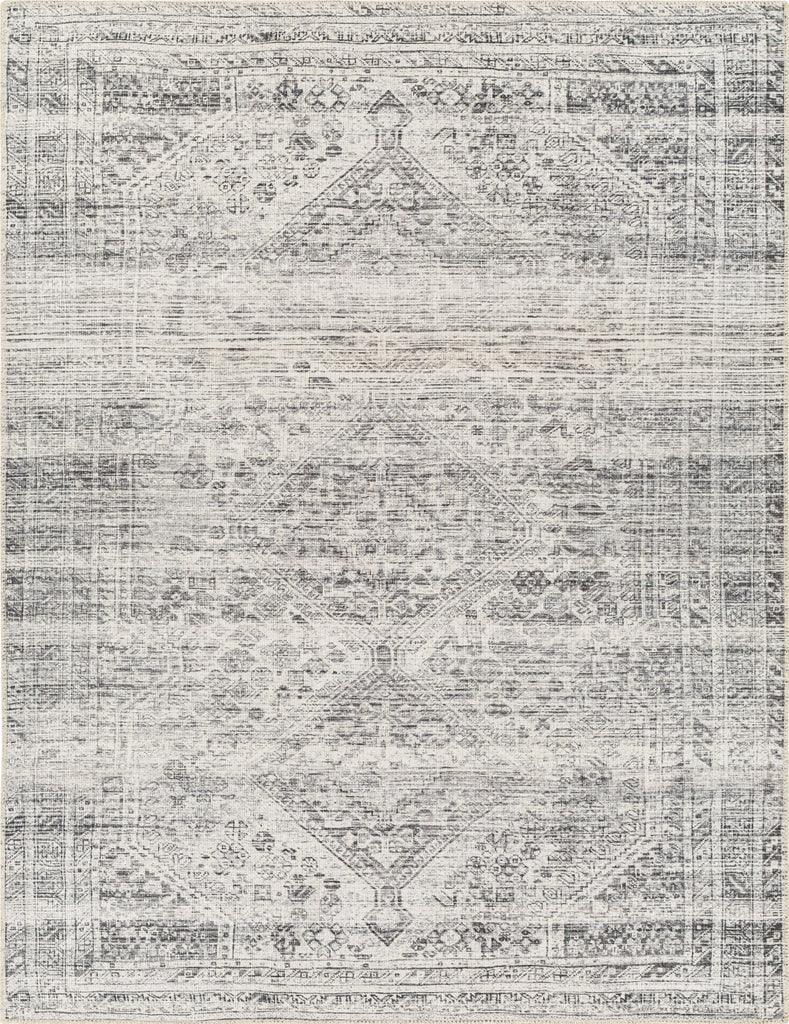 Surya Amelie AML-2381 Area Rug main image