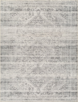 Surya Amelie AML-2381 Area Rug main image