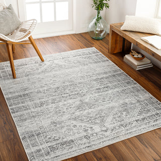 Surya Amelie AML-2381 Area Rug Room Scene Feature