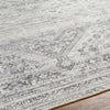 Surya Amelie AML-2381 Area Rug Detail