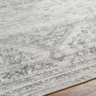 Surya Amelie AML-2381 Area Rug Detail