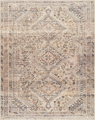 Surya Amelie AML-2382 Area Rug main image