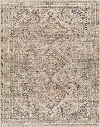 Surya Amelie AML-2383 Area Rug main image