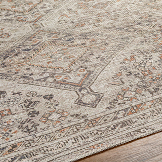 Surya Amelie AML-2383 Area Rug Detail