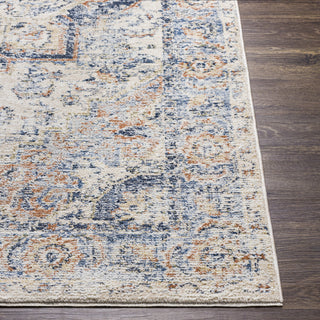 Surya Amore AMO-2301 Area Rug