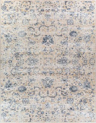 Surya Amore AMO-2307 Area Rug Main