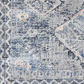 Surya Amore AMO-2308 Area Rug