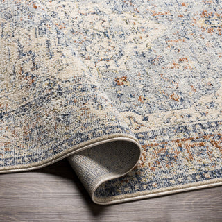 Surya Amore AMO-2312 Area Rug