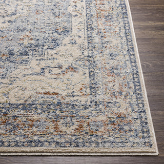 Surya Amore AMO-2312 Area Rug