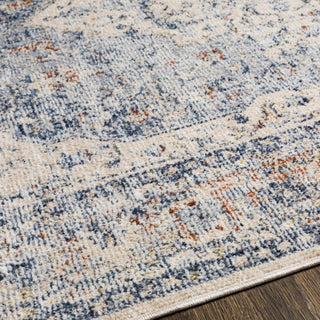 Surya Amore AMO-2312 Area Rug