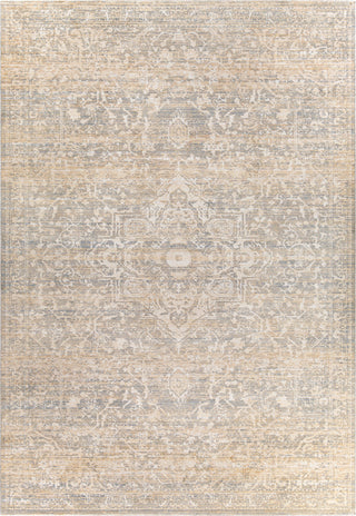 Surya Amore AMO-2324 Area Rug Main