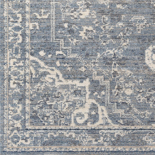 Surya Amore AMO-2327 Area Rug