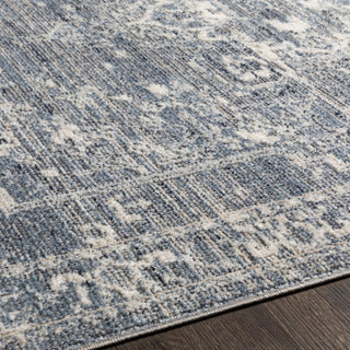 Surya Amore AMO-2327 Area Rug