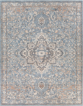 Surya Amore AMO-2328 Area Rug Main