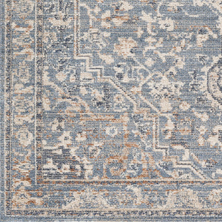 Surya Amore AMO-2328 Area Rug