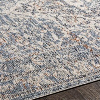 Surya Amore AMO-2328 Area Rug