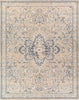 Surya Amore AMO-2331 Area Rug Main