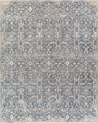 Surya Amore AMO-2332 Area Rug Main