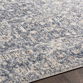 Surya Amore AMO-2332 Area Rug