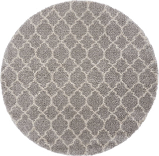 Nourison Amore AMOR2 Ash Area Rug