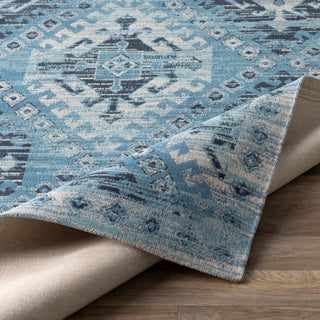 Surya Amsterdam AMS-1000 Area Rug 