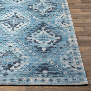 Surya Amsterdam AMS-1000 Area Rug 