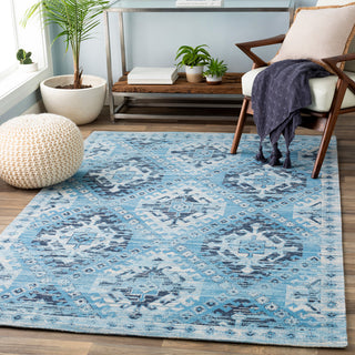 Surya Amsterdam AMS-1000 Area Rug Room Scene Feature