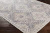 Surya Amsterdam AMS-1001 Area Rug Corner Image