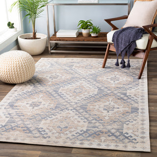 Surya Amsterdam AMS-1001 Area Rug Room Scene Feature