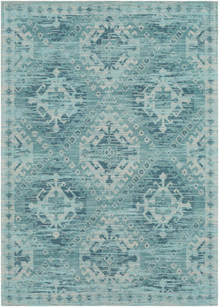 Surya Amsterdam AMS-1002 Area Rug main image