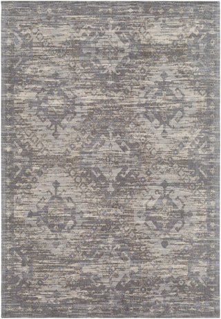 Surya Amsterdam AMS-1004 Area Rug main image