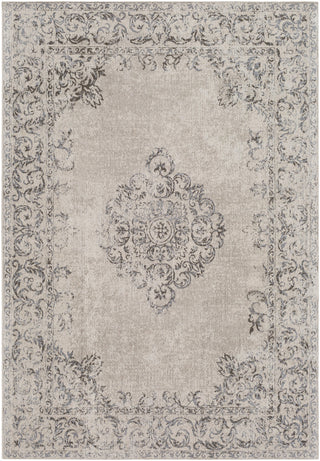 Surya Amsterdam AMS-1007 Area Rug main image