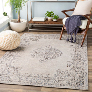 Surya Amsterdam AMS-1007 Area Rug Room Scene Feature