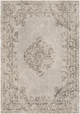 Surya Amsterdam AMS-1008 Area Rug main image