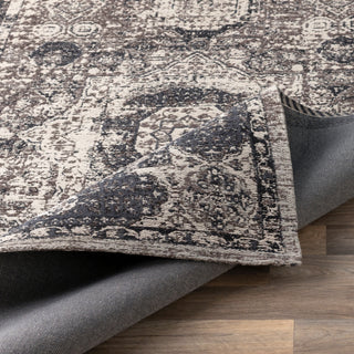 Surya Amsterdam AMS-1012 Area Rug 