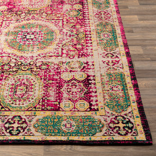 Surya Amsterdam AMS-1014 Area Rug 