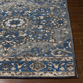 Surya Amsterdam AMS-1017 Area Rug 