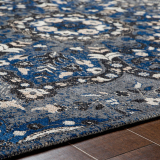 Surya Amsterdam AMS-1017 Area Rug Detail