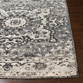 Surya Amsterdam AMS-1018 Area Rug 