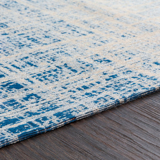 Surya Amsterdam AMS-1019 Area Rug Detail