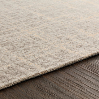 Surya Amsterdam AMS-1020 Area Rug Detail