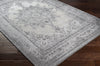 Surya Amsterdam AMS-1029 Area Rug