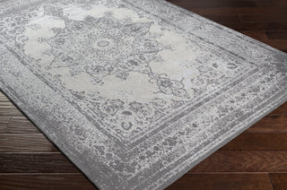 Surya Amsterdam AMS-1029 Area Rug