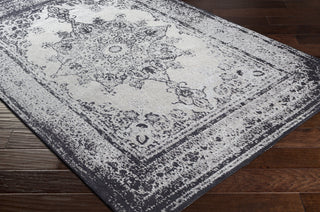 Surya Amsterdam AMS-1030 Area Rug