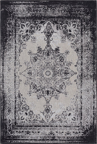 Surya Amsterdam AMS-1030 Area Rug