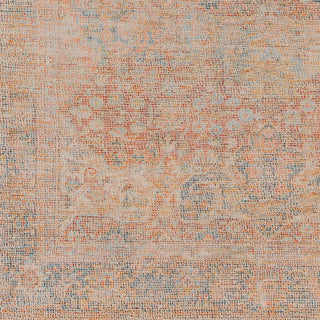 Surya Amasya AMY-2304 Area Rug Swatch