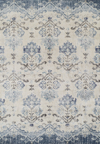 Dalyn Antigua AN11 Blue Area Rug Main Image 5'3''x7'7'' Size 