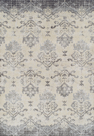 Dalyn Antigua AN11 Pewter Area Rug main image