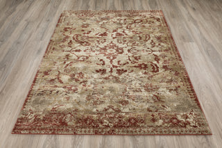 Dalyn Antigua AN4 Paprika Area Rug