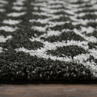 Rizzy Adana AN694A CHARCOAL Area Rug 